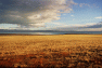 0007-Route_pour_le_Perito_Moreno