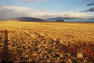 0008-Route_pour_le_Perito_Moreno2