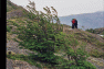 0011-_Depart_Lago_Grey