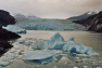 0013-Glaciar_Grey