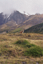 04-Torres_del_Paine-Guanaco